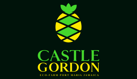 CASTLE GORDON TRAVEL